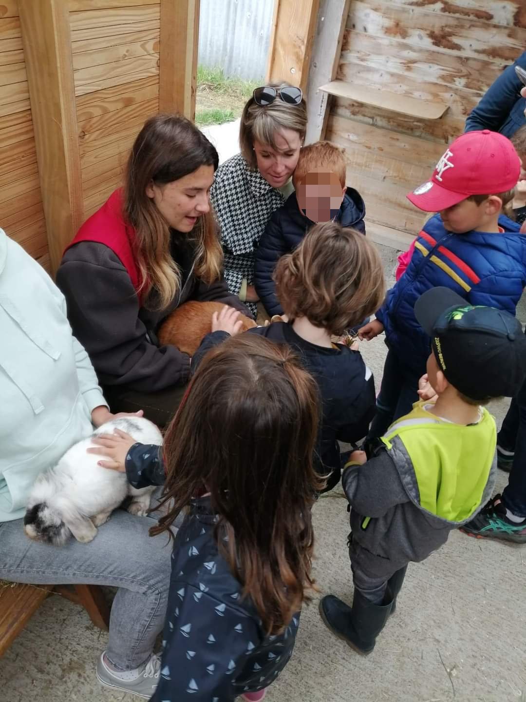 Médiation animale atelier contact et soin aux lapins